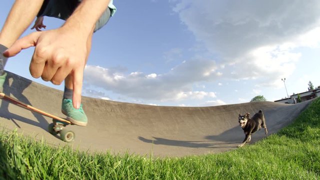 SLOW MOTION CLOSE UP LOW ANGLE: Cheerful skateboarder gives camera the shaka sign as he speeds by with cute companion dog. Stoked longboarder being chased by dog on cinematic morning at the skate park
