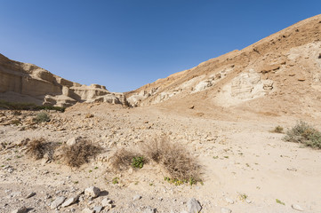 Fototapeta na wymiar Stone desert in Israel