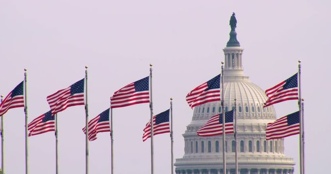 The United States Capitol Building with US Flags in foreground