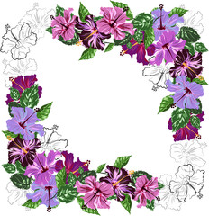 square vector frame with hibiscus