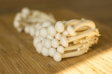 Fototapeta na wymiar Oriental Shimeji mushrooms closeup in warm light before cooking