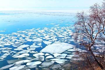 Baikal Lake on April day. Spring landscape with white ice on the blue water and birch trees on the shore