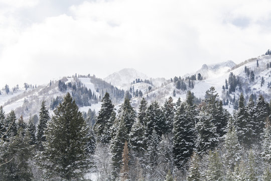 snowy mountain peak landscape in wasatch mountain range during snow storm.