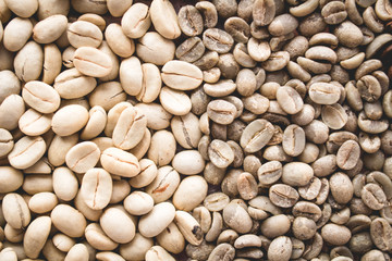 Arabica coffee Steps Coffee Beans Coffee in Asia