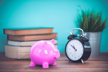 Pink piggy bank and books book