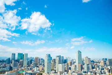 Fototapeta premium 東京風景