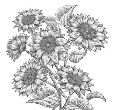 Retro Sunflower elements