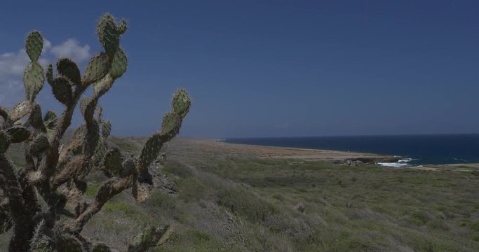 Curacao Coastal Landscape