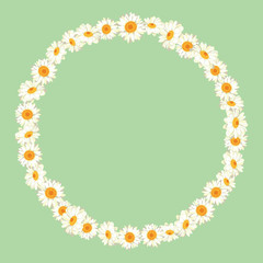 Chamomile pattern on green background. Daisy chain. Round frame for your text or photo.