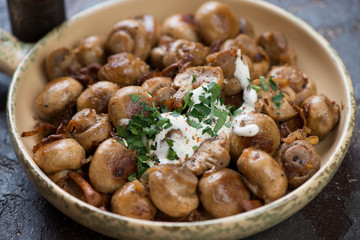 Close-up of fried champignons and chanterelles with sour cream and fresh chopped parsley, selective focus