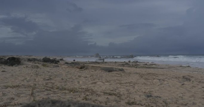 Aruba crashing waves on rocks before a hurricane