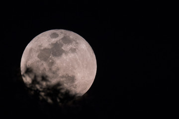 Blue moon as seen in Israel