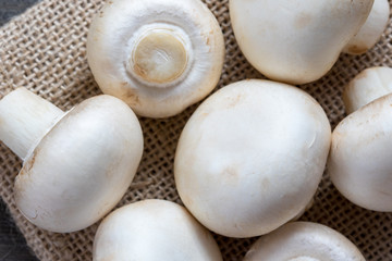 マッシュルーム