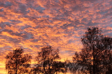 Obraz na płótnie Canvas Morgenrot