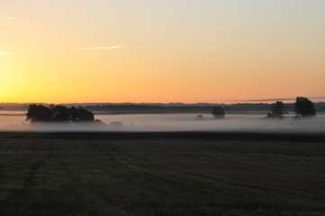 Fields and the Fog in the Morning 