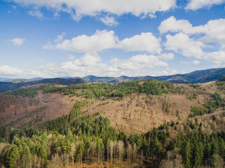 arial view of majestic landscape with pine forest and cloudy sky, Germany