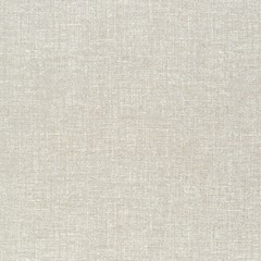 Biscotti Fabric texture