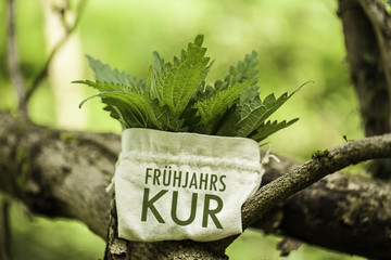 Frühjahrskur