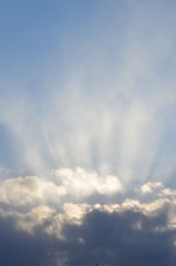雲