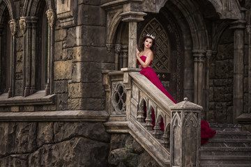 A beautiful woman, a queen in a red dress, stands on the background of a medieval, Gothic door on the stairs with an arch, silver caron with crystals. The Princess at the Castle