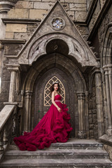 A beautiful woman, a queen in a red dress, stands on the background of a medieval, Gothic door on the stairs with an arch, silver caron with crystals. The Princess at the Castle