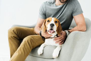 cropped image of man palming cute beagle isolated on white