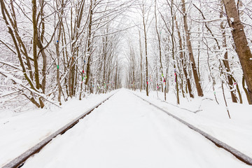 a railway in the winter forest tunnel of love