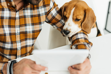 cropped image of businessman and dog looking at tablet