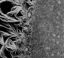 pattern of ice on a black background
