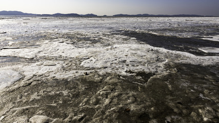 Cold frozen mudflats