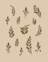 Stylized ears of corn or leaves. Silhouetted decorative plant elements on a light background. © oliakustar