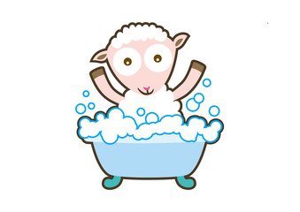baby sheep take a bath