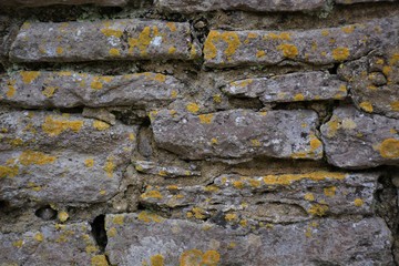 Stone Wall Background