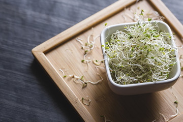 Alfalfa sprouts in white bowl