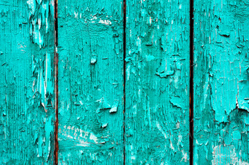 Old boards with cracked cyan paint. Textured wooden old background with vertical lines. Wooden planks close up for your design. Green-blue many times painted old wall with lagged fragments of paint