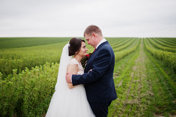 Attractive young wedding couple posing on the blackcurrant field on their wedding day.