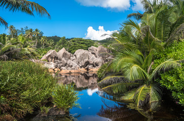 Fototapeta na wymiar Lake in the jungle, La Digue island, Seychelles