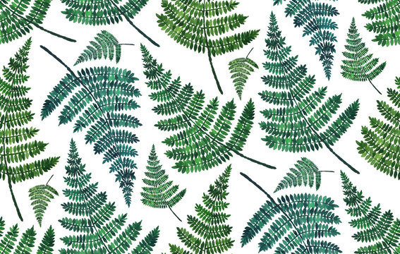 Watercolor fern pattern. Summer botanical background