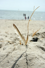 Strandkunst