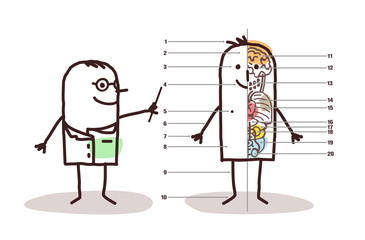 Cartoon Doctor and Male Anatomy 