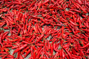 Red hot peppers dry on the sun, selective focus. 