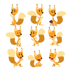 Funny squirrel cartoon character set, cute forest animal with different actions and emotions vector Illustrations © topvectors