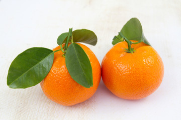 mandarines