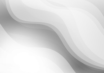 Gray and white color line curve on abstract background with copy space, Vector Illustration