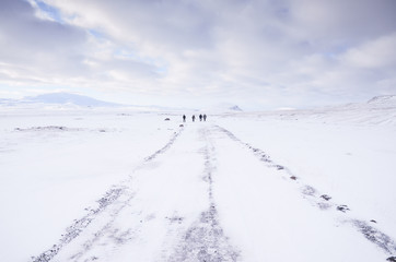 Fototapeta na wymiar iceland nature, winter travel photo in snow, adventure, trip, hiking, mountains.