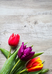 Tulips on wooden background. Perfect invitation for mother's day or international women's day. Minimalist spring flower background for advert and promotion. Summer postcard. Vertical photo.