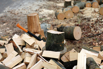Kaminholz Brennholz spalten im Wald mit der Axt