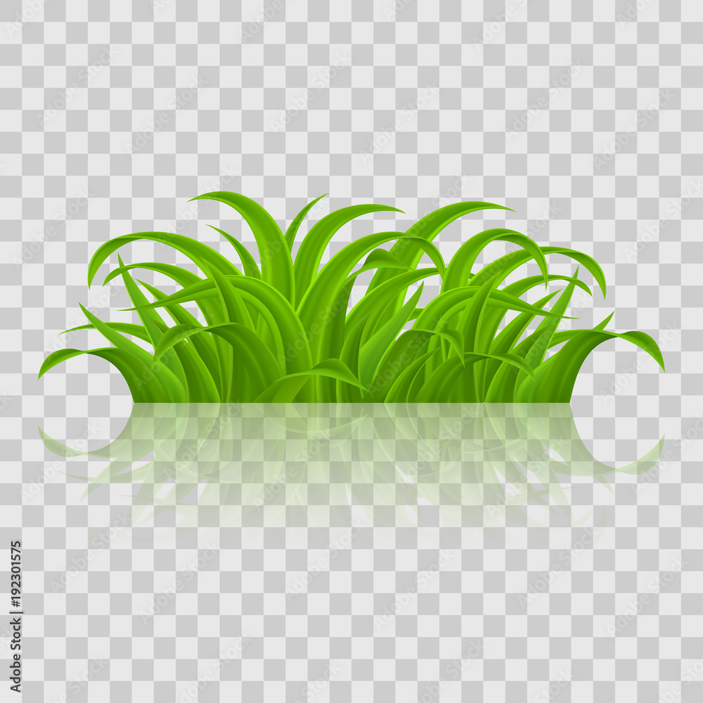 Poster Green Grass