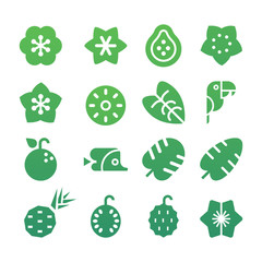 Tropical Vector Icon Set with exotic plants, fruit  and animals. Flat design, simple shapes.