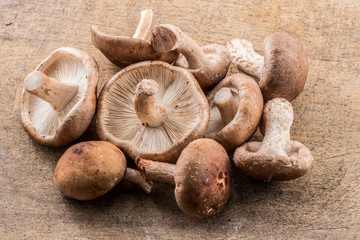 Shiitake mushrooms on the wooden background.
